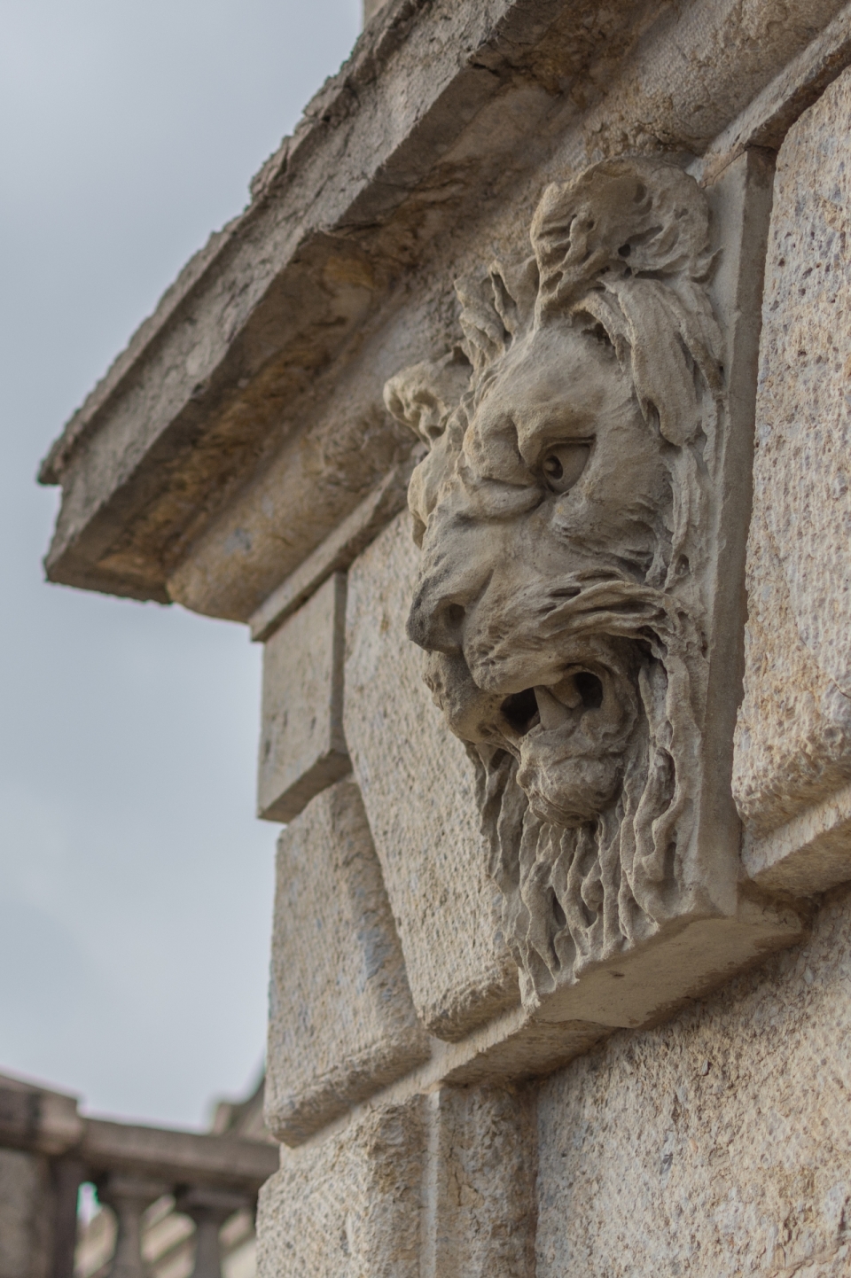 广场空地石壁建筑狮子浮雕面部特写