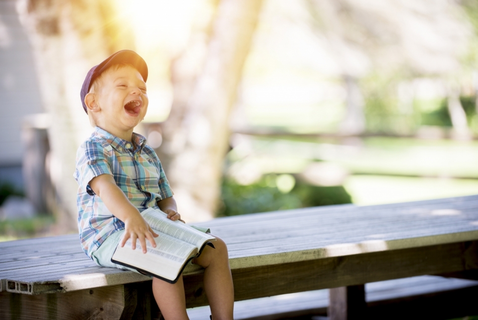 作品简介 一个手上拿着书本哈哈大笑的小男孩在木头长椅上的唯美摄影