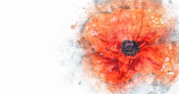 白色背景橙色手绘水彩花朵