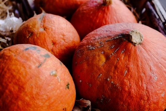 室内桌面新鲜健康南瓜茄子蔬菜