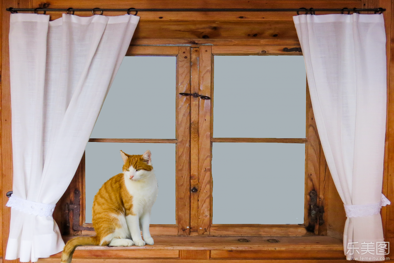 标签 宠物 动物 猫 木质 喵星人 窗户