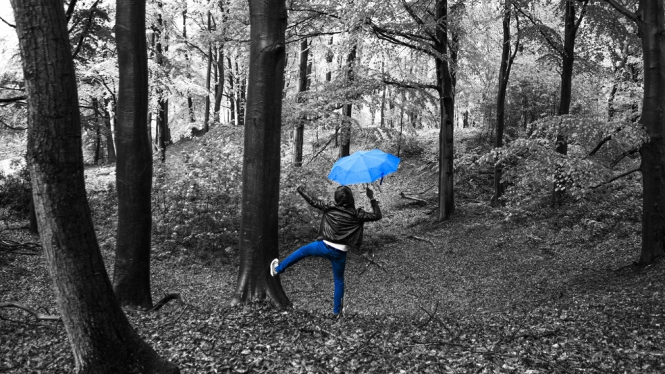 没有颜色的黑白森林中撑着蓝色雨伞的美女背影