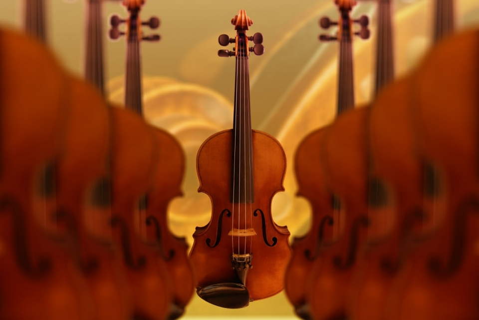 音乐小提琴大提琴乐器艺术海报音乐艺术家