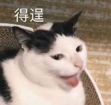 唯美搞笑表情包图片