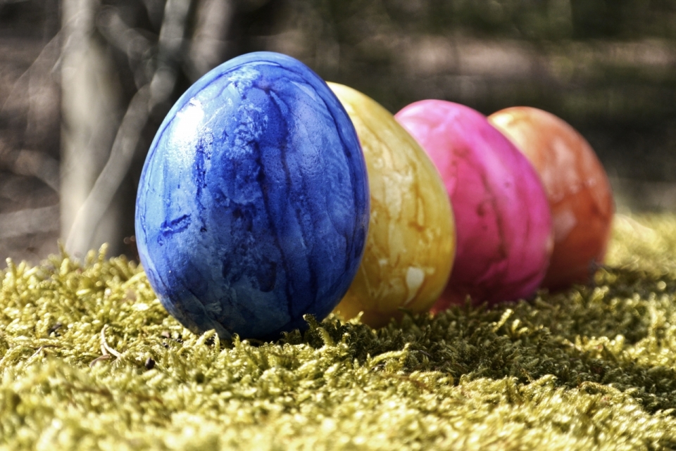 阳光户外自然草坪复活节彩色蛋模型