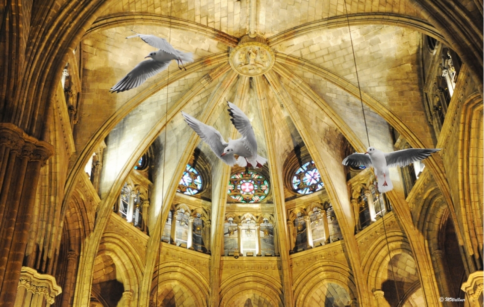 金色灯光教堂大厅下飞翔的白鸽