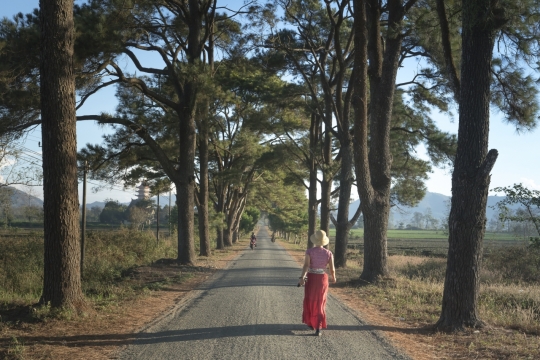 阳光自然森林小路散步成年女性