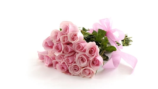 粉色玫瑰花图片