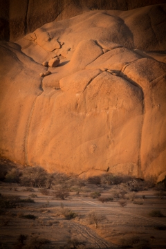 非洲纳米比亚野外自然风光