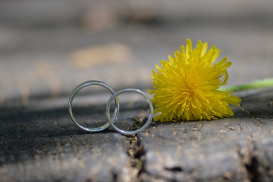 台阶缝隙摆放金属圆环花朵静物