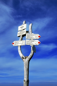 蓝色天空下灰色木桩上路标