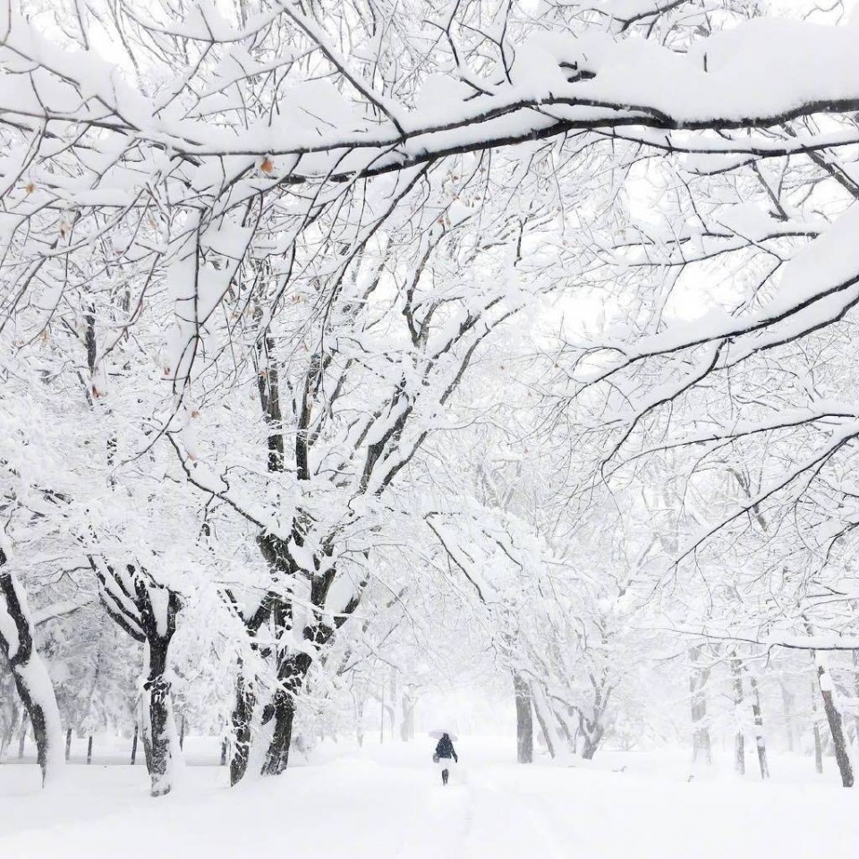 唯美雪景风景写真图片