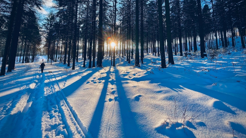 唯美冬季雪景自然风光高清桌面壁纸