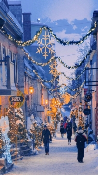 唯美清新冬天雪景高清写真