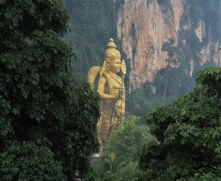 深山老林中金色大佛雕像外景
