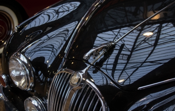 捷豹汽车黑色喷漆车头标志特写