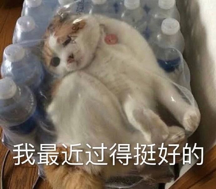 搞笑幽默表情包图片