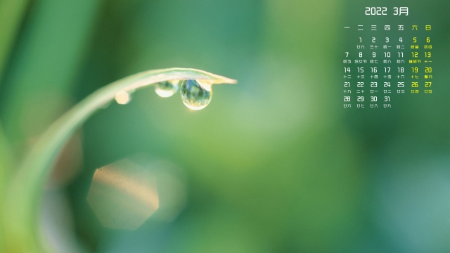 2022年清新绿色护眼高清日历壁纸