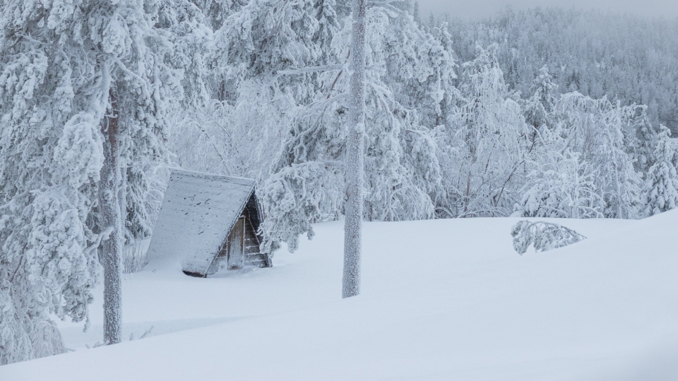 北方冬季雪景白雪皑皑自然风光优美风景高清桌面壁纸