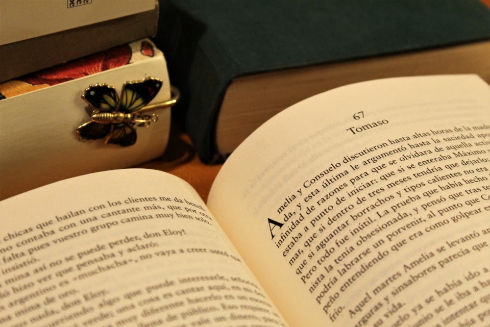 桌上翻开的书本和金色蝴蝶书签静物摄影