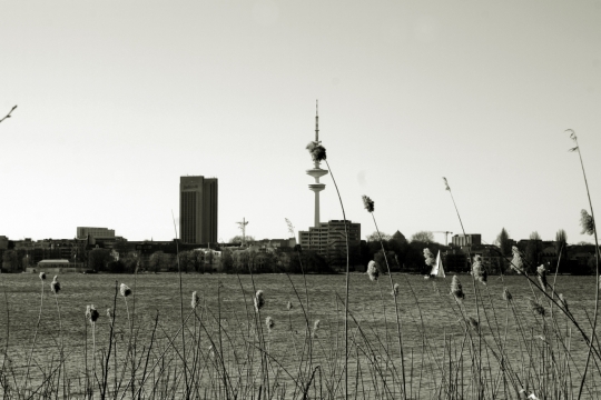 忧郁风格城外草地远眺风光