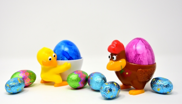 白色背景鸭子鸡模型彩蛋装饰巧克力