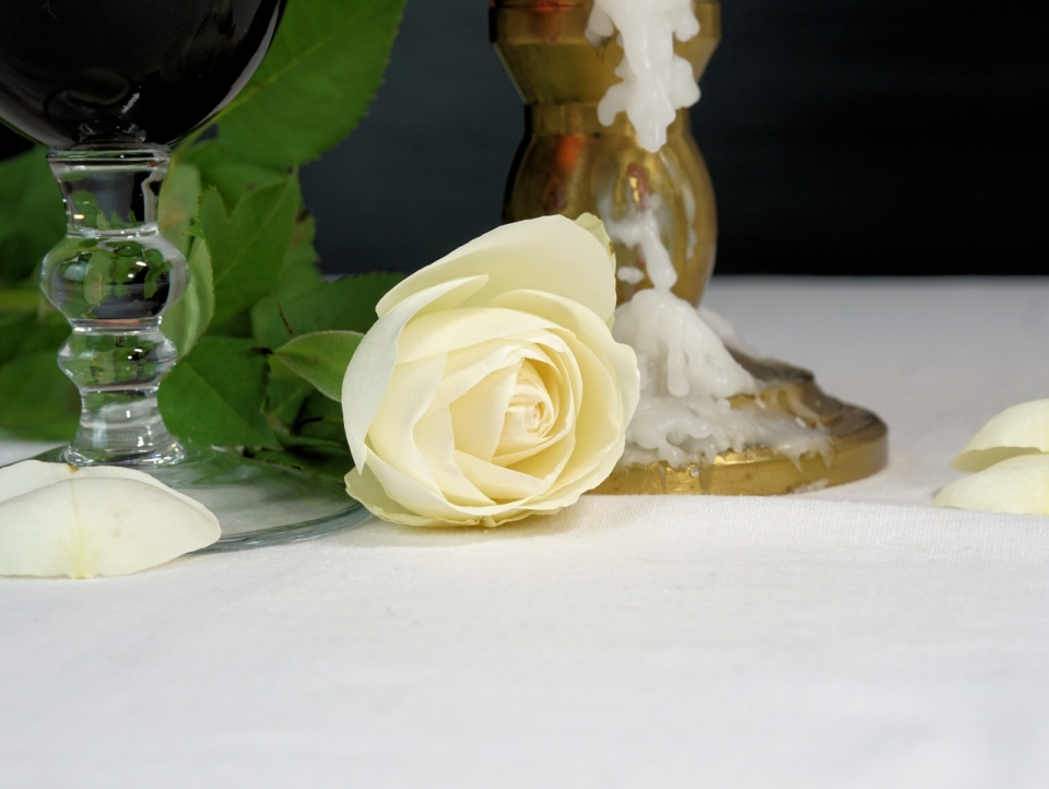 桌子上蜡烛旁的白色玫瑰静物摄影