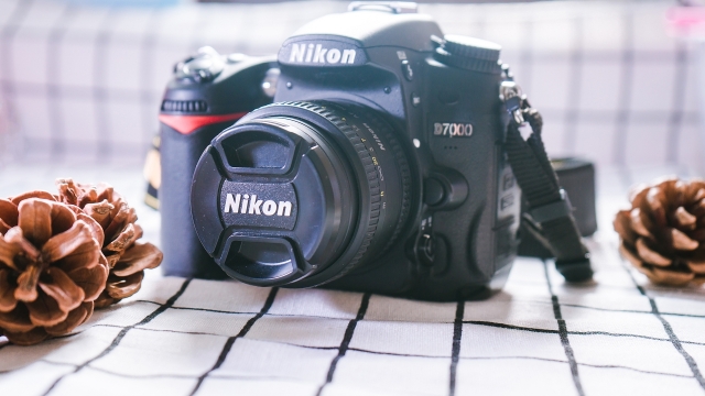 逆光摄影尼康单反相机