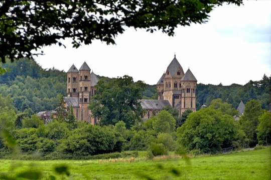 茂密草坪树林雄伟城堡自然风光