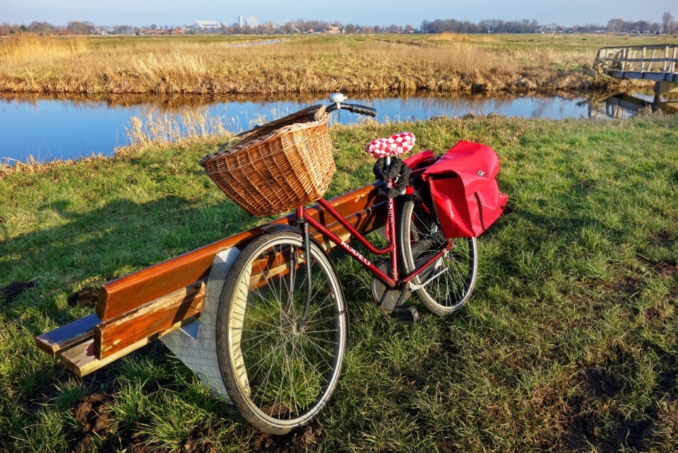 河边草坪的长凳和停靠的自行车