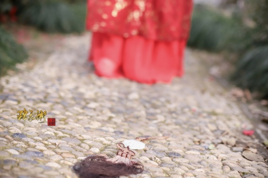 汉服同人COS美少女