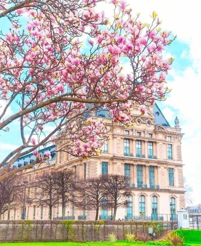 唯美风景春天的巴黎图片