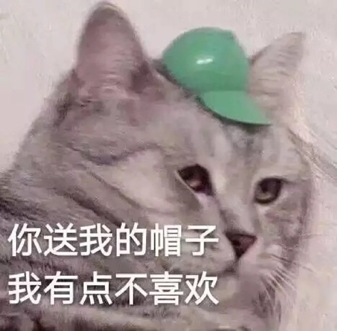 幽默搞笑小猫咪喵星人图片