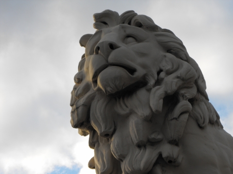 白色的石狮子仰望视角摄影