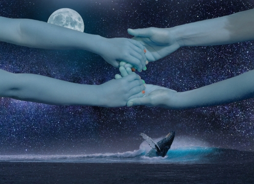 海面上夜空星光牵手特写