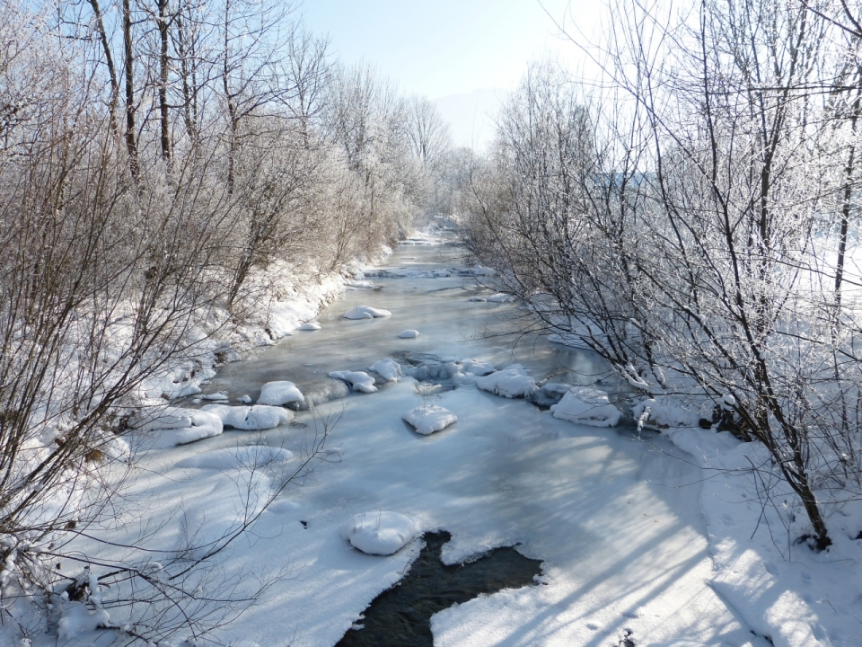 冬天白色雪地树林河面冻结冰层