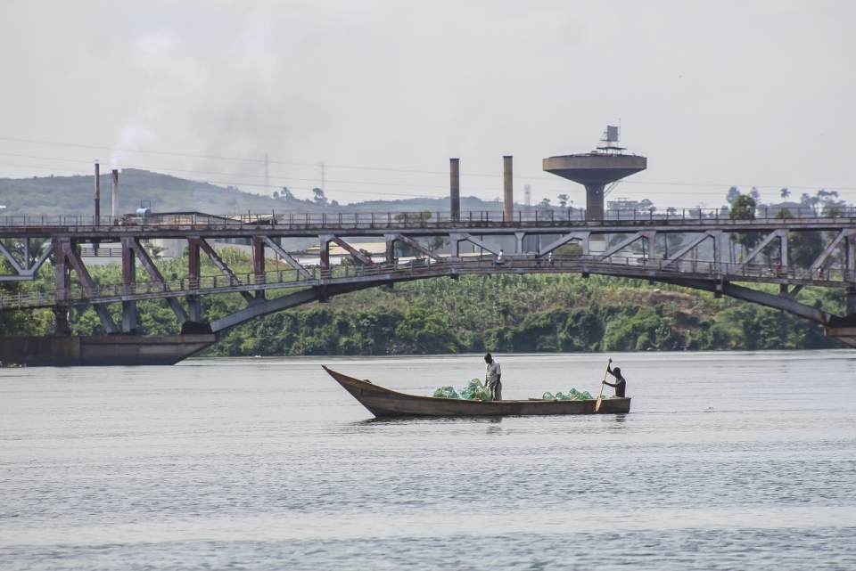 非洲尼罗河桥梁前划船的男性