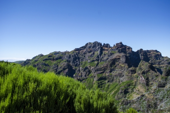 绿色森林高山峭壁青苔风光美景