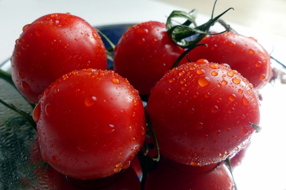 室内白色桌面沾水新鲜红色小番茄