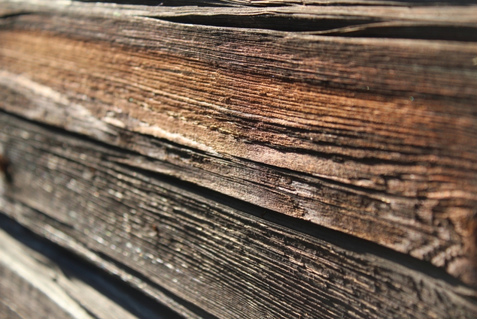 木头枯木切割面干燥木纹纹理