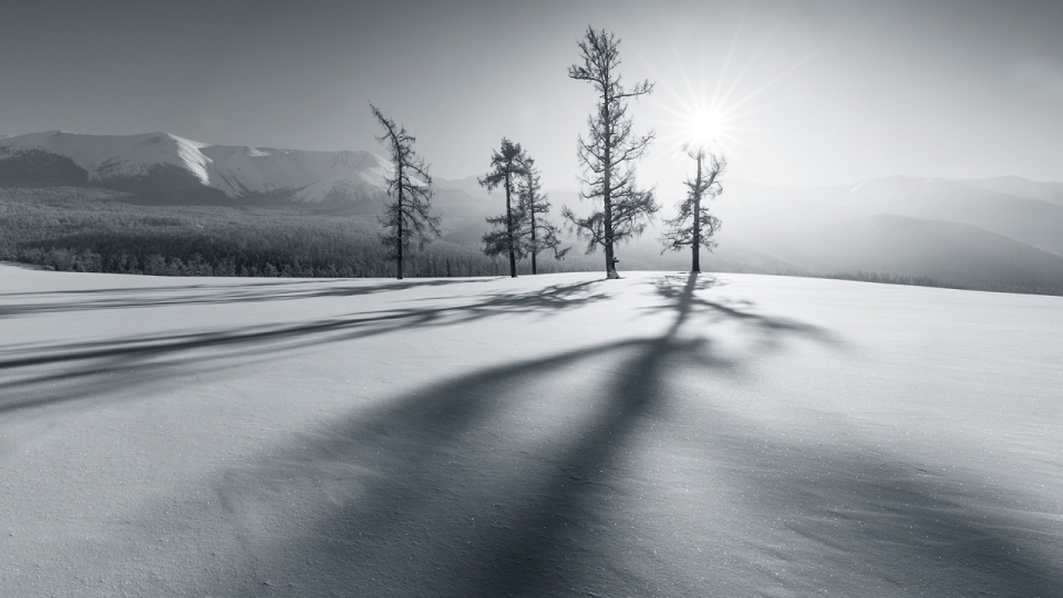 唯美冬季雪景风景摄影高清宽屏桌面壁纸