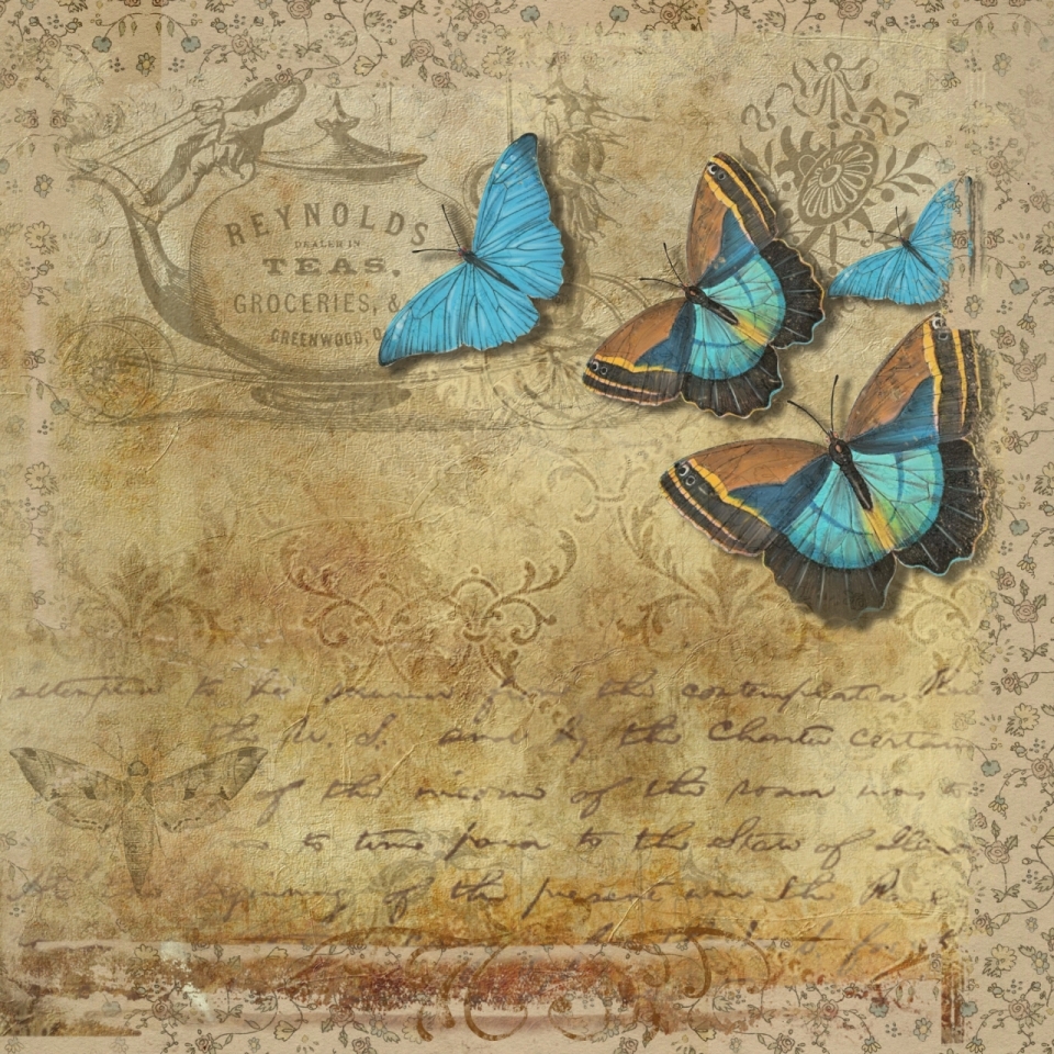 蓝色蝴蝶落在复古信纸上