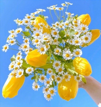 唯美清新花束植物图片