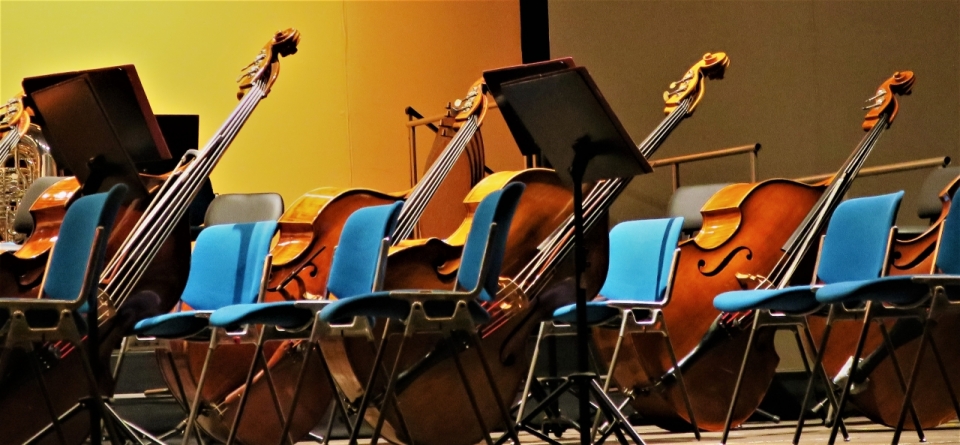 交响乐队的大提琴特写摄影