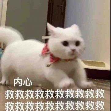 搞笑可爱表情包图片