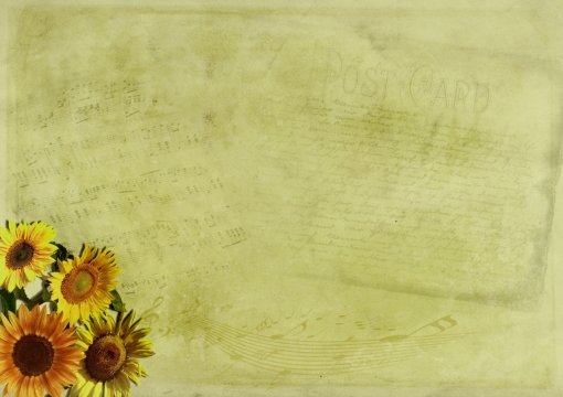 盛开的菊花放在复古色乐谱纸上。