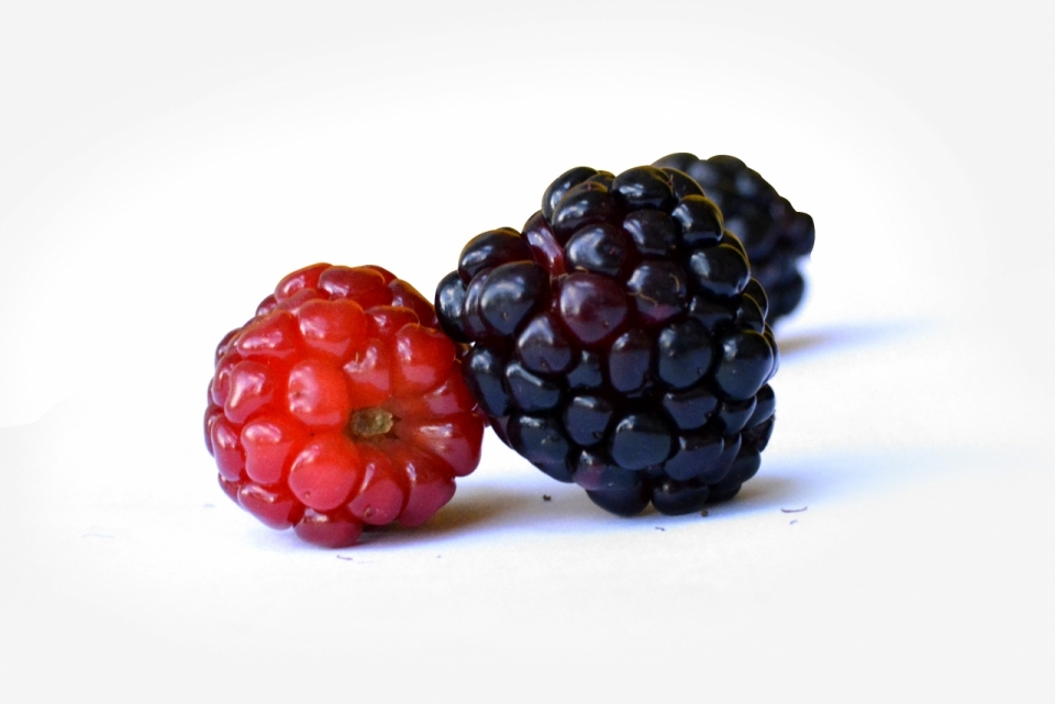 白色背景红色和紫色树莓水果摄影