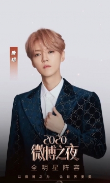 2020微博之夜鹿晗图片