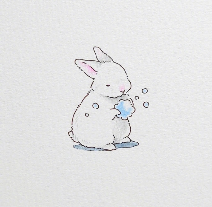 可爱小兔子写真图片