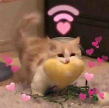 实用表情包图片